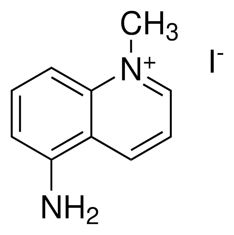 5-Amino-1MQ порошок (5-amino-1-methylquinolinium)
